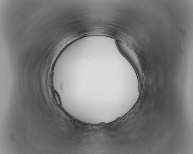 X0000114570289200911091221