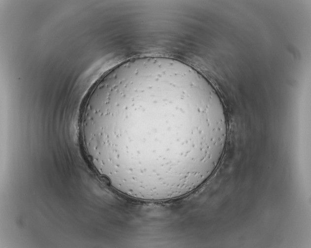 X0000114570290200911091221