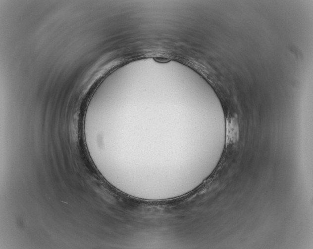 X0000114570291200911091221