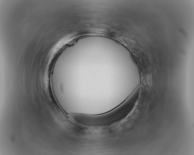 X0000114570294200911091221