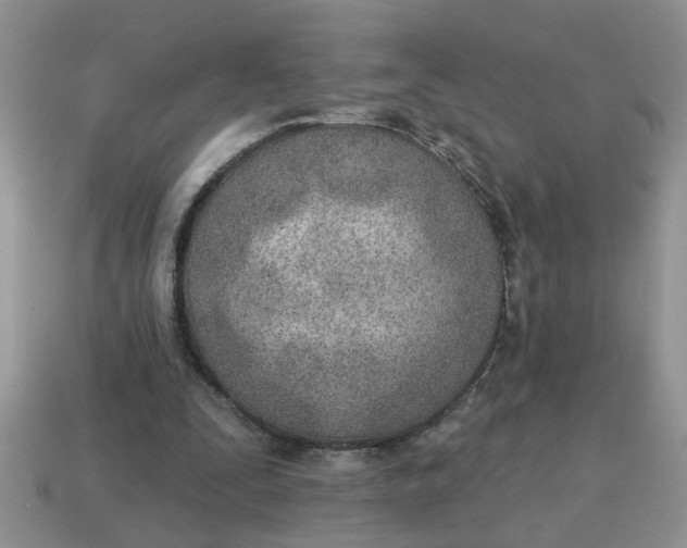 X0000114570295200911091221