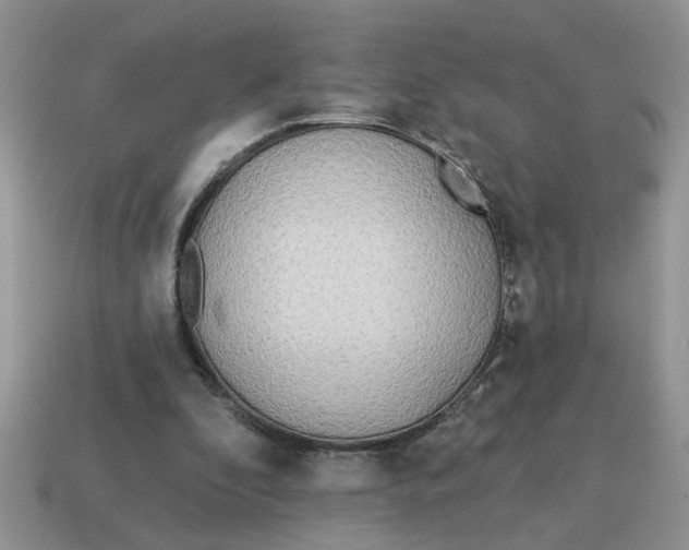 X0000114570296200911091221