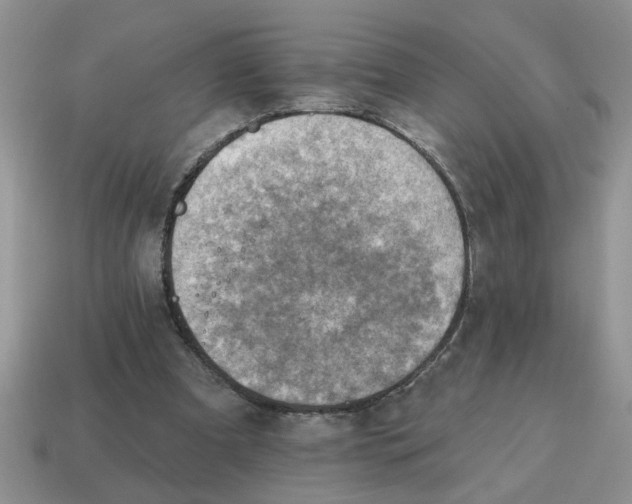 X0000114570297200911091221