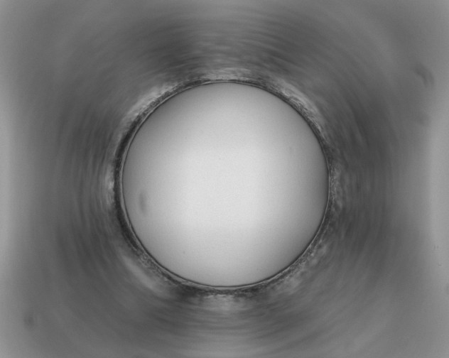 X0000114570298200911091221