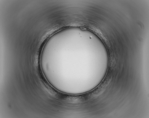 X0000114570299200911091221