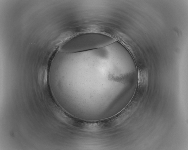 X0000114570301200911091221