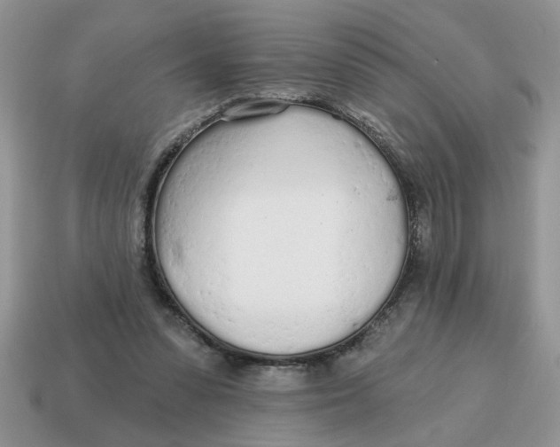 X0000114570303200911091221