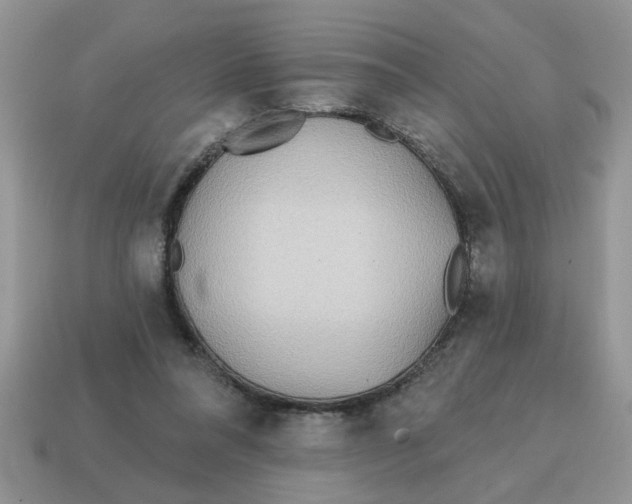 X0000114570304200911091221