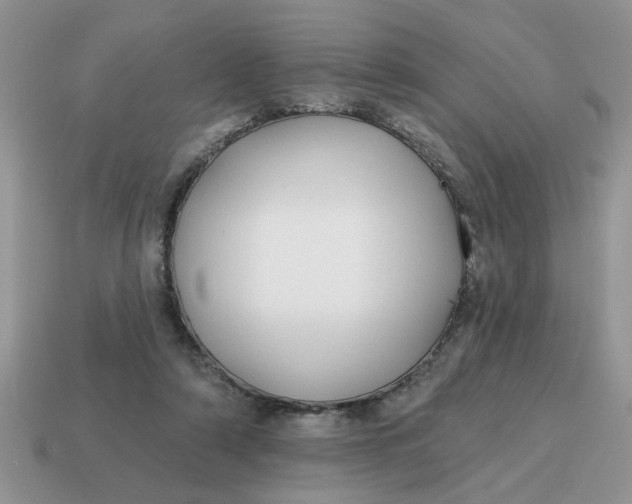 X0000114570306200911091221