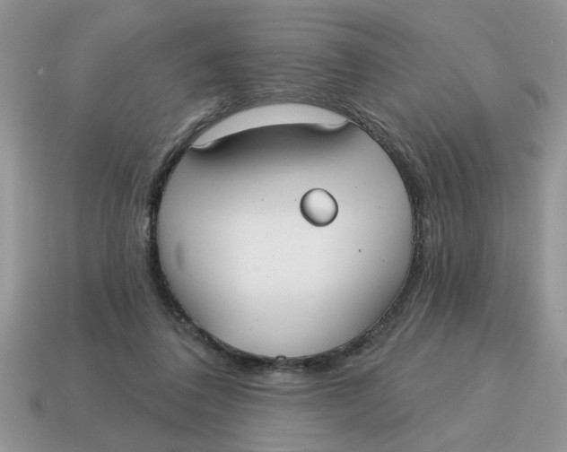 X0000114570308200911091221