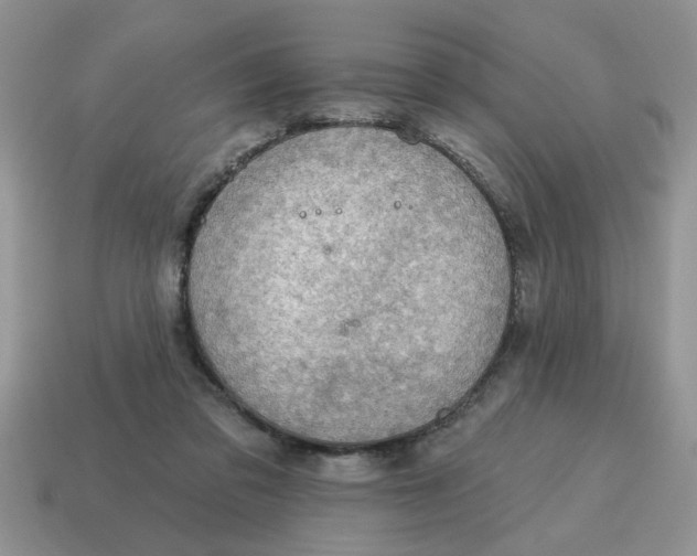 X0000114570309200911091221