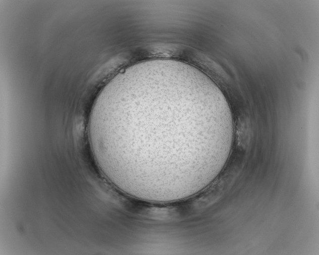 X0000114570314200911091221