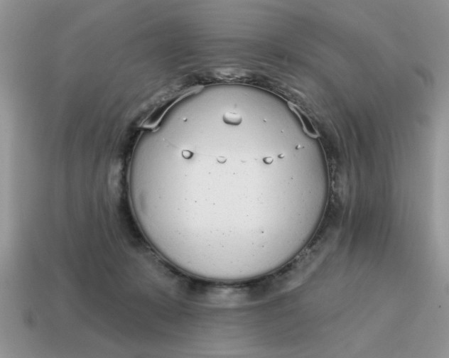 X0000114570319200911091221