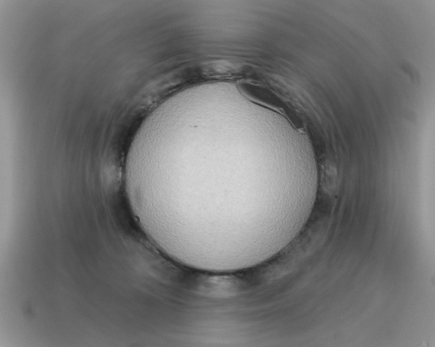 X0000114570324200911091221