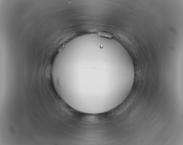 X0000114570325200911091221