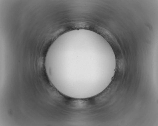 X0000114570326200911091221