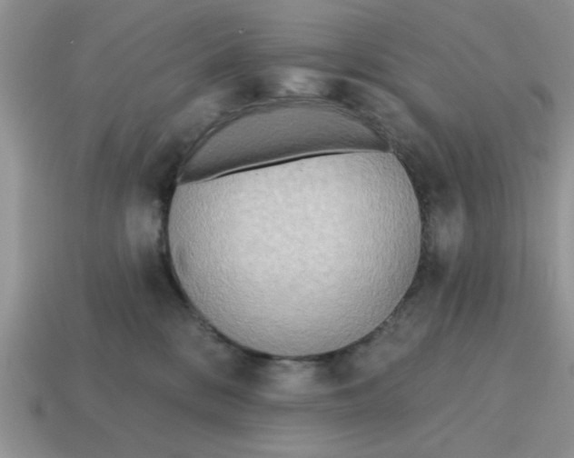 X0000114570328200911091221