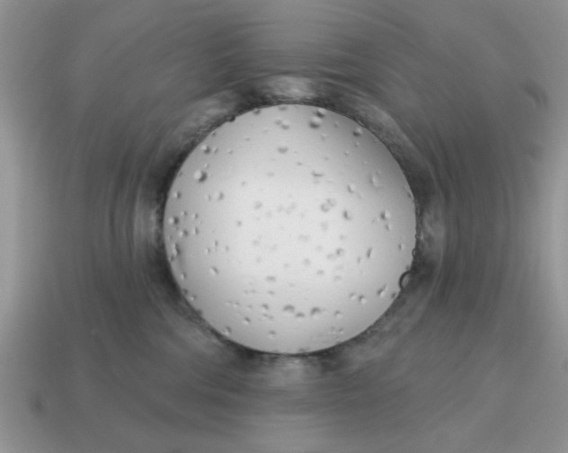 X0000114570330200911091221