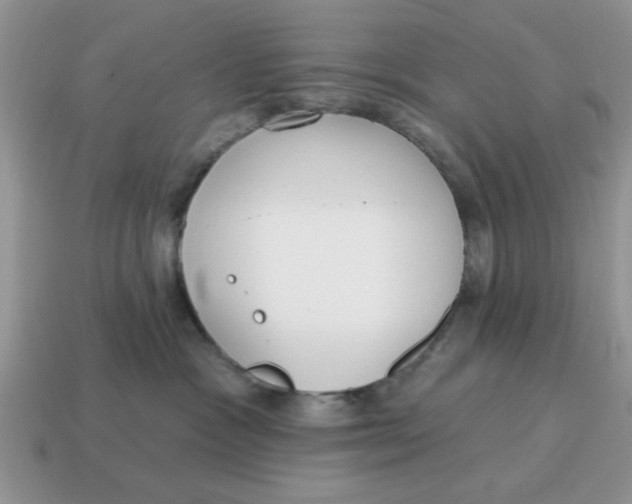 X0000114570333200911091221