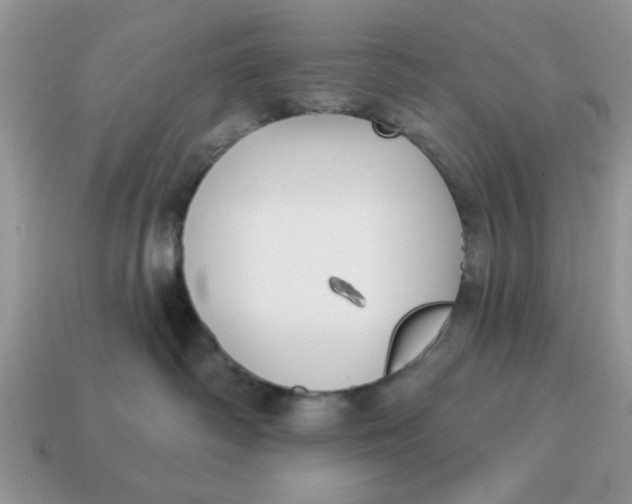 X0000114570334200911091221