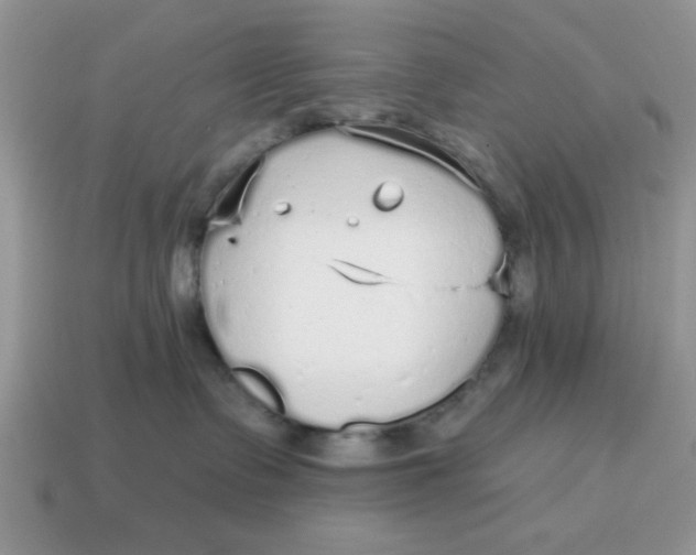 X0000114570335200911091221