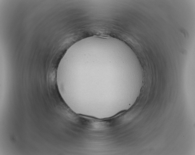 X0000114570336200911091221