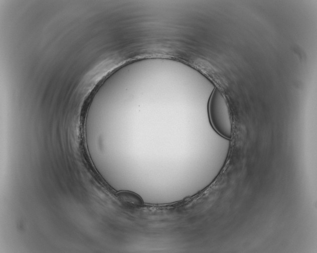 X0000114570338200911091220