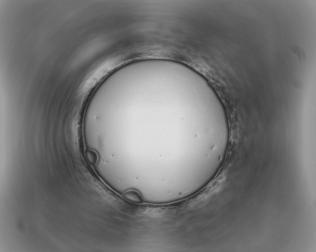 X0000114570341200911091220