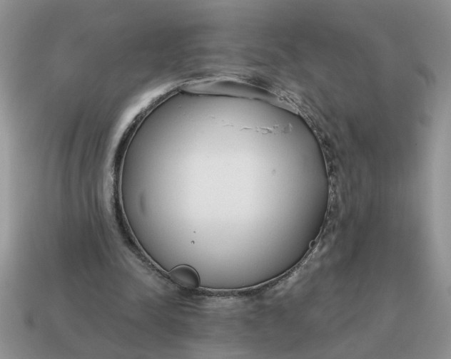 X0000114570342200911091220