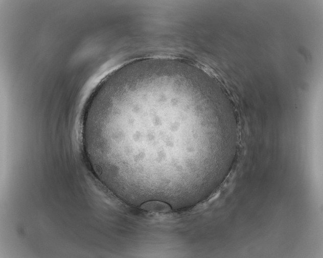 X0000114570343200911091220