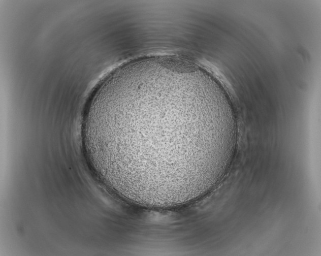 X0000114570346200911091220