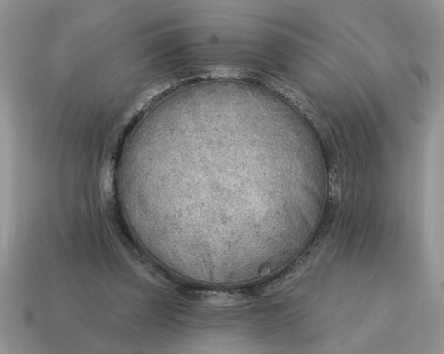 X0000114570347200911091220