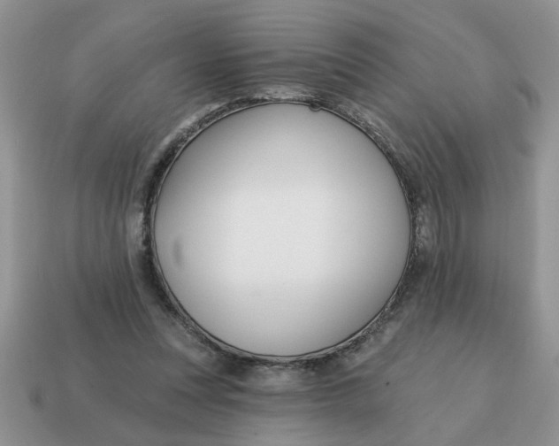 X0000114570351200911091220