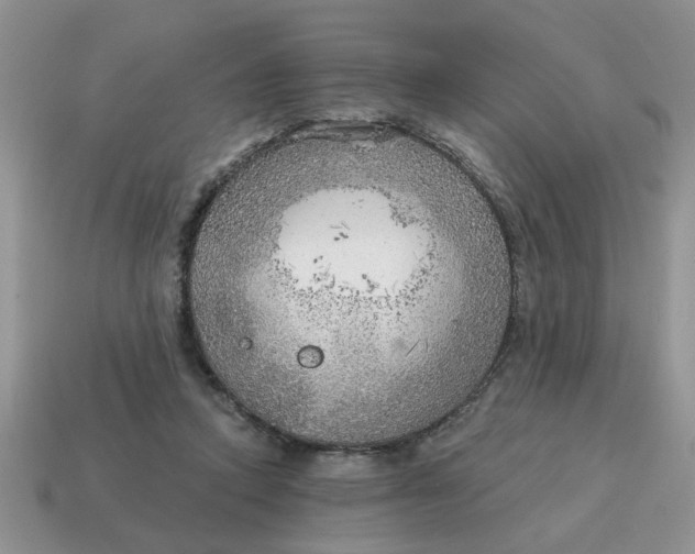 X0000114570354200911091220