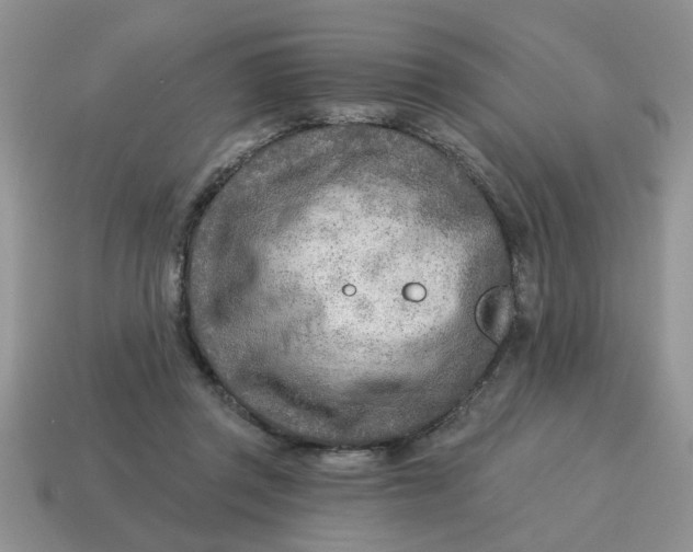 X0000114570357200911091220