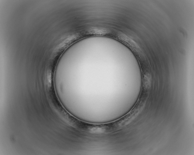 X0000114570358200911091220