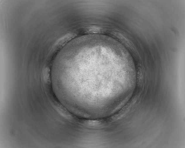 X0000114570361200911091220