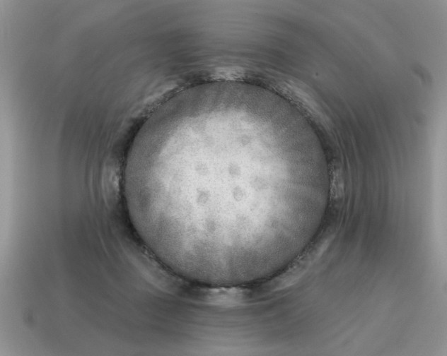 X0000114570363200911091220