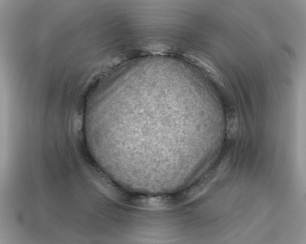 X0000114570365200911091220