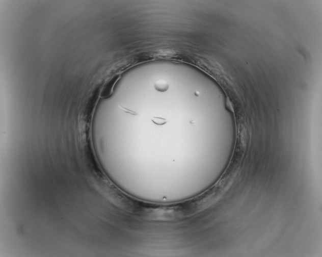 X0000114570366200911091220