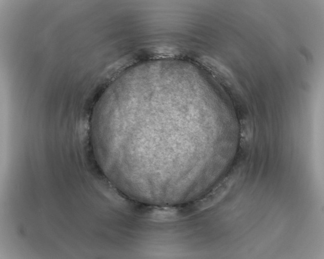 X0000114570369200911091220