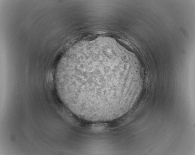 X0000114570373200911091220