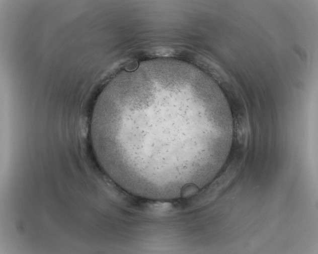 X0000114570374200911091220