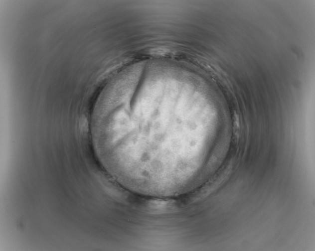 X0000114570375200911091220