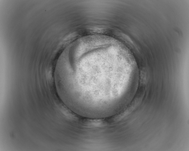 X0000114570377200911091220