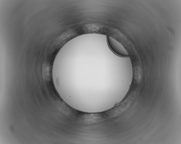 X0000114570378200911091220