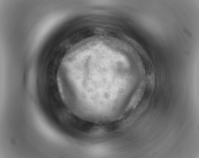 X0000114570381200911091220