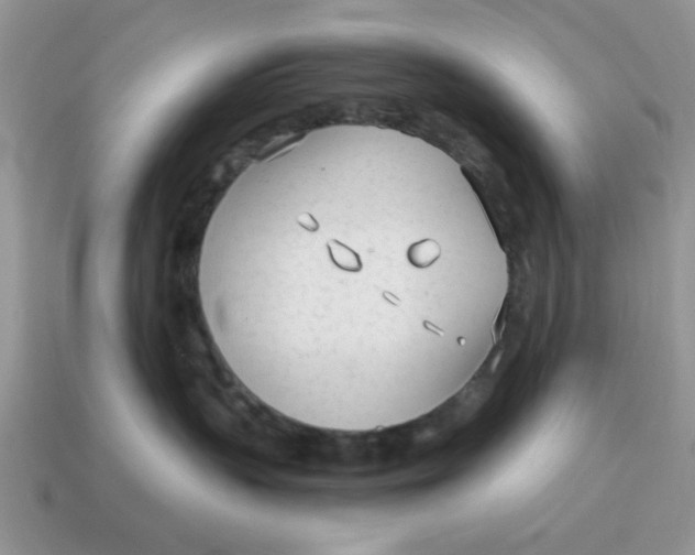 X0000114570383200911091220