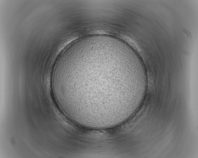 X0000114570386200911091220