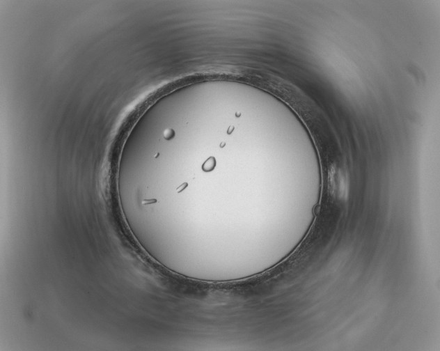 X0000114570388200911091220